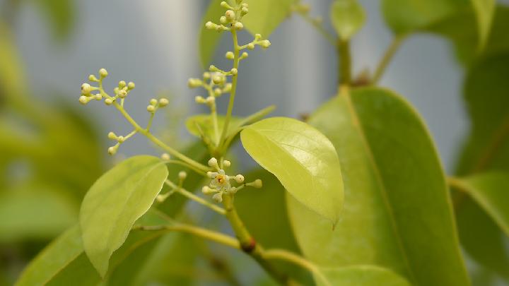 喝酒无节制当心酒依靠